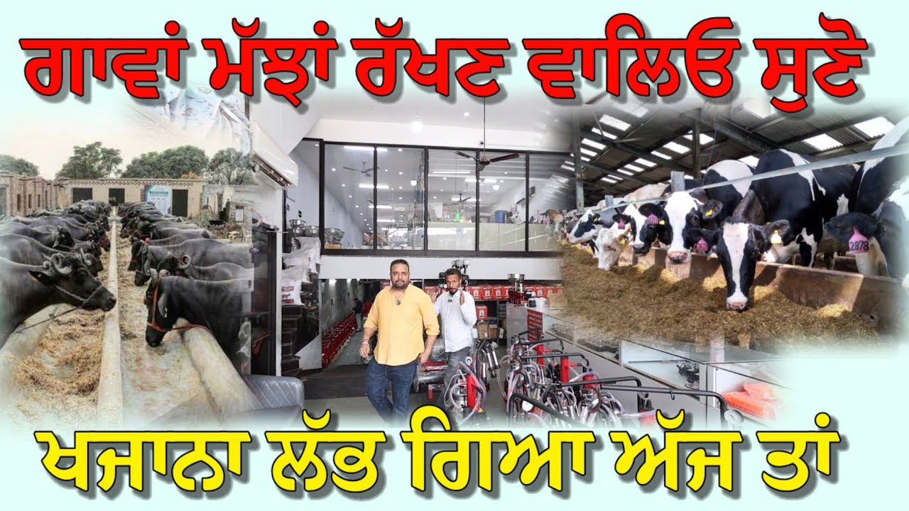 ਗਾਵਾਂ ਮੱਝਾਂ ਰੱਖਣ ਵਾਲਿਓ ਖਜਾਨਾ ਭਲਾਤਾ ਤੁਹਾਨੂੰ,,ਇੱਕ ਇੱਕ ਚੀਜ਼ ਦਾ ਰੇਟ ਸੁਣੋ 