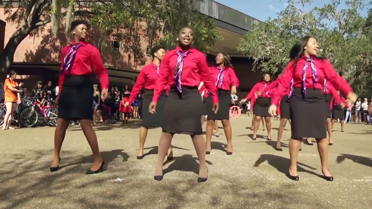 Lambda Psi Chapter of Delta Sigma Theta Sorority, Inc. Founders Day Presentation