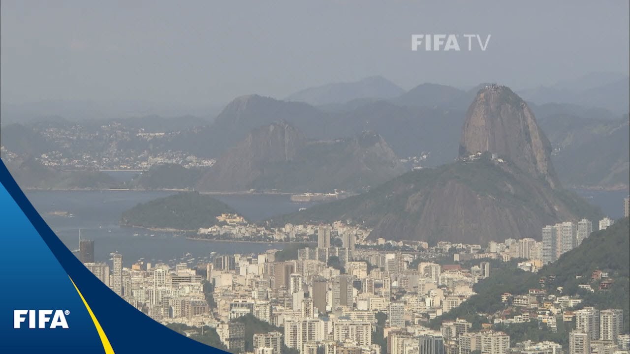 The giant forest in the heart of Rio