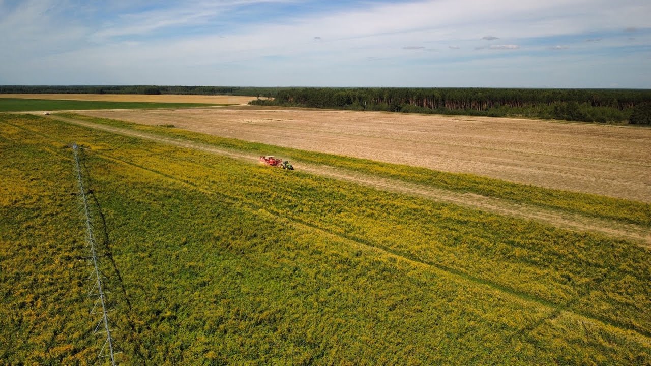 DJI Mini 2 Video / Russia / Vladimir region / Summer August 2022