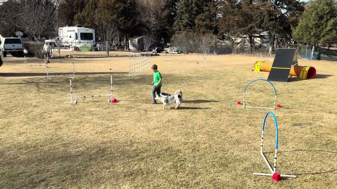 Daisy, Nebraska Spirit, NADAC Winter Team Challenge Rd3