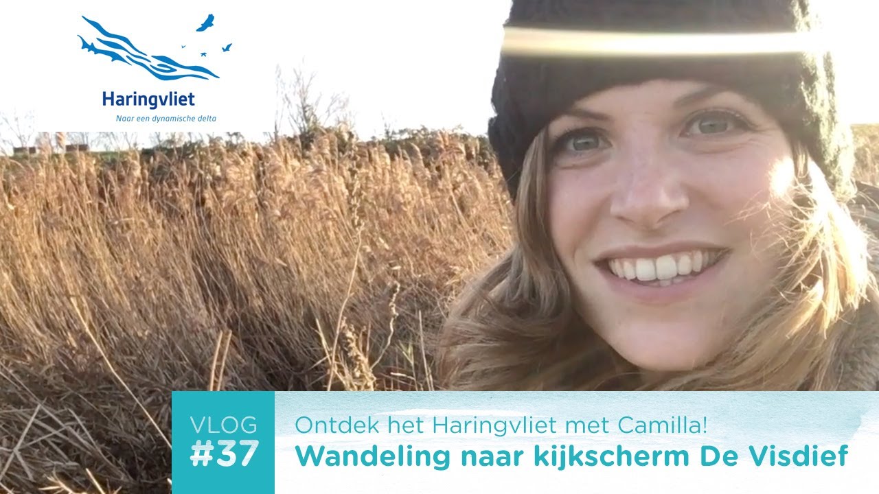 VLOG #37: Wandeling naar kijkscherm De Visdief
