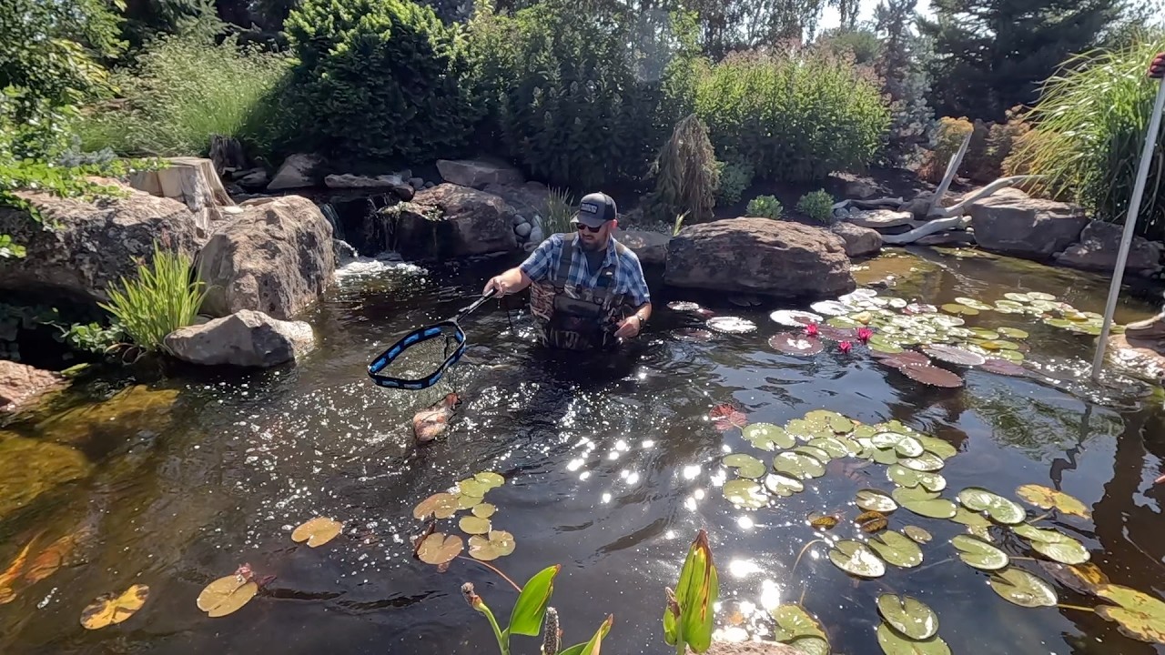 Pond Maintenance Day! Pond Plant Grooming/Installation, Power Washing & String Algae Removal! 💪💦🐟