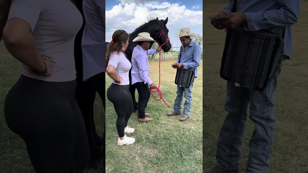 Le vendió el caballo frizon mira como termino esto 😱