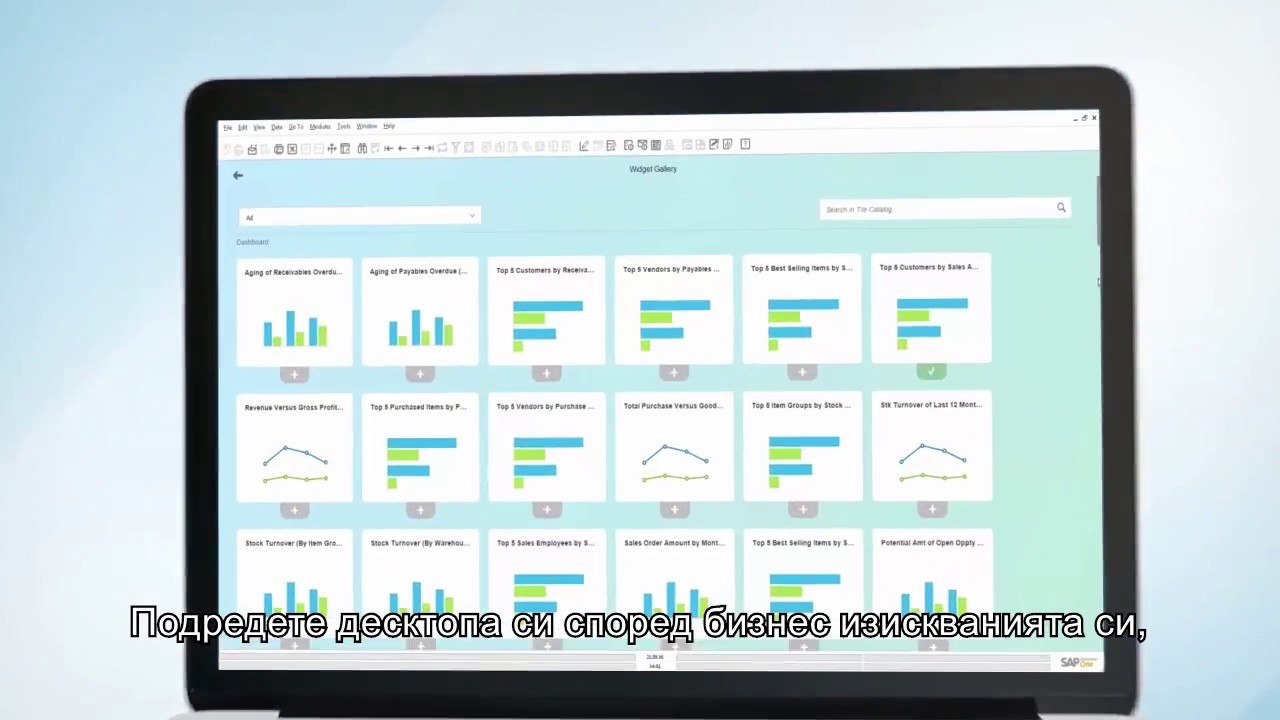 [BULGAR] Dashboard analysis with SAP Business One powered by SAP HANA