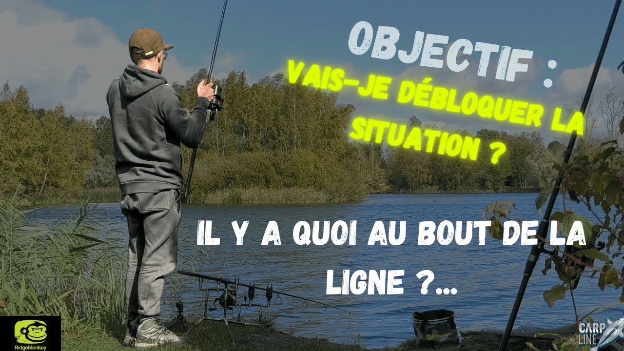 Comment débloquer la pêche ? Vais-je y arriver cette fois ?
