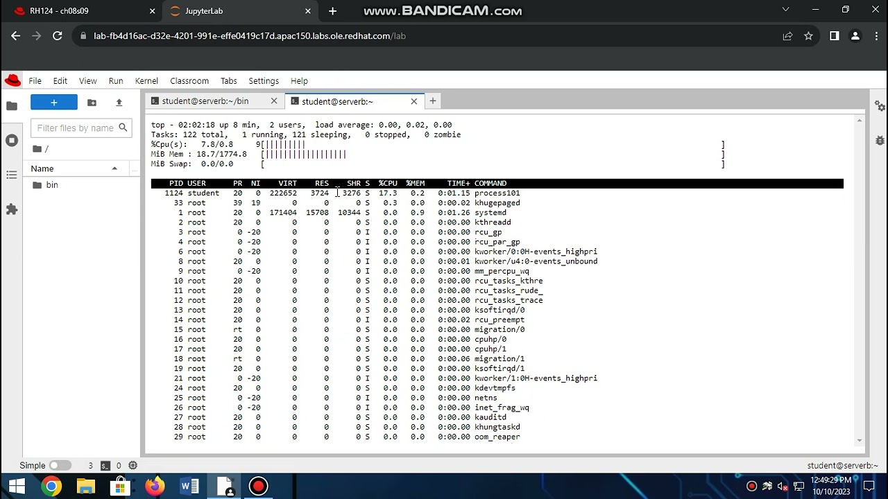 8.9 Lab : monitor and manage linux processes (part 1)
