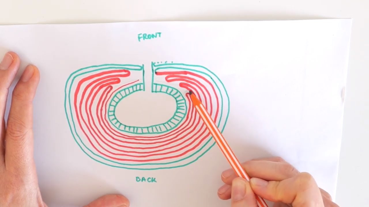 Короткие ряды: Почему? Где? Когда? Как?