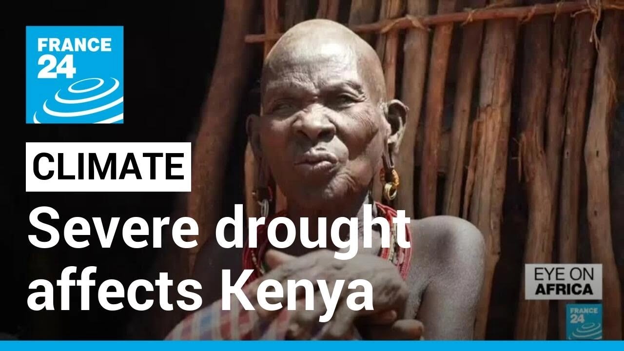 Drought in Kenya: In&nbsp;the&nbsp;Samburu&nbsp;region, inhabitants&nbsp;survive&nbsp;thanks&nbsp;to&nbsp;NGOs &bull; FRANCE 24