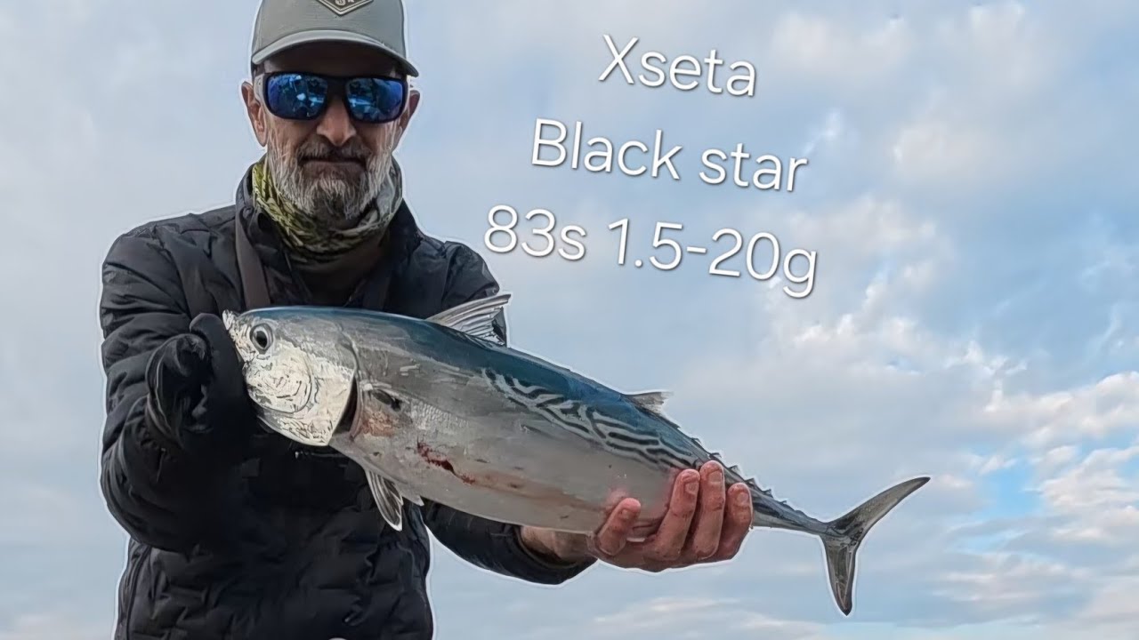 הטונית שהטעתה אותי על מקל לייט חדש. False albacore on new super light rod