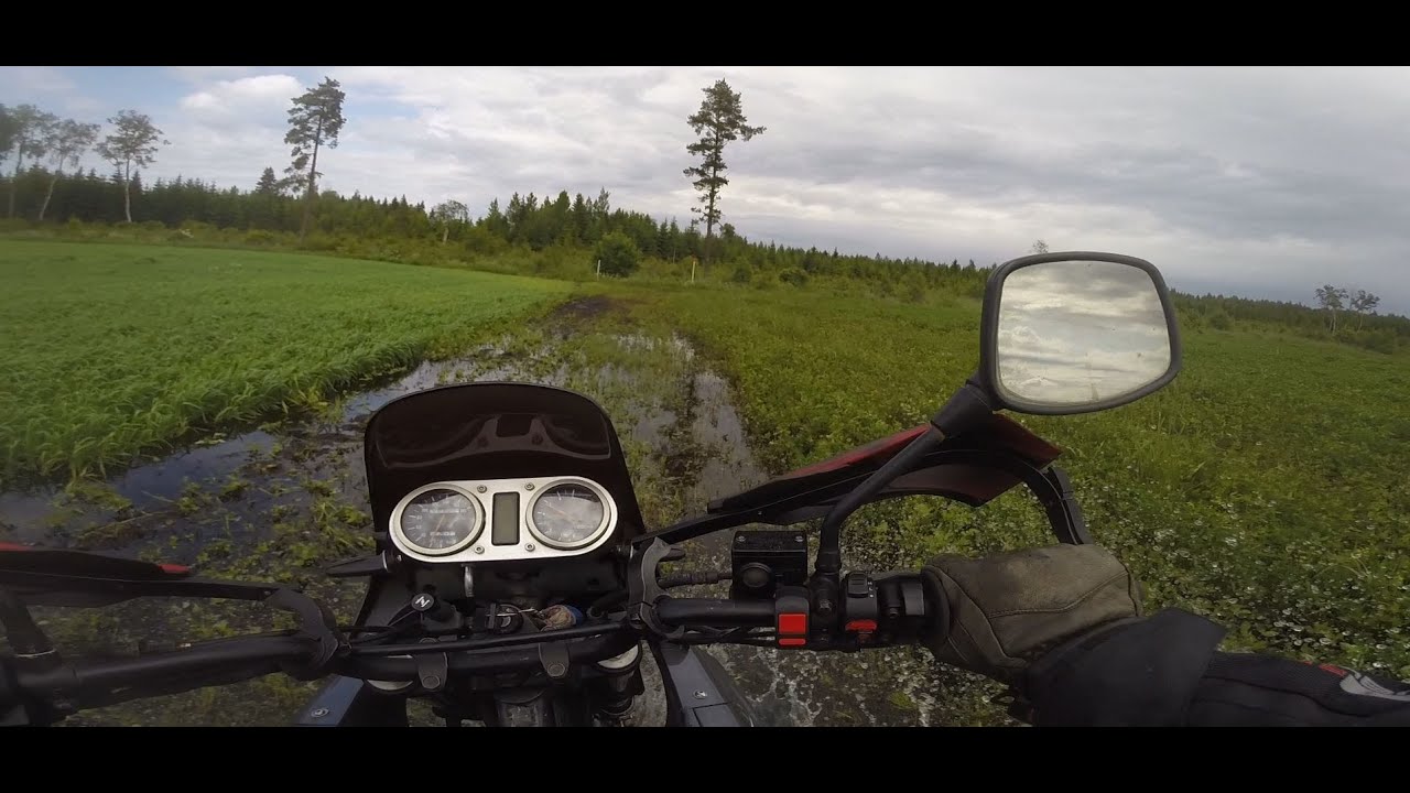 Suzuki DR800BIG MidSummerRideEstonia