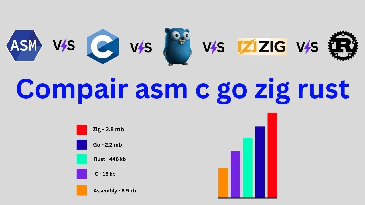 Compair with ASM | C | GO | ZIG | Rust || #comprision #asm #clanguage  #golang #zig #rust
