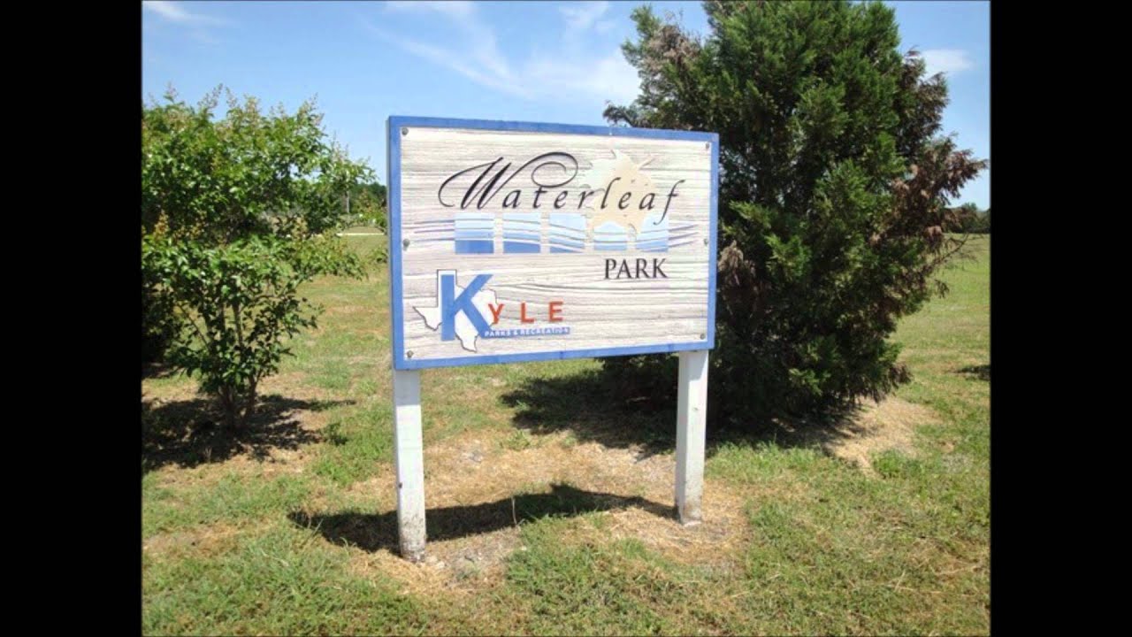 Waterleaf Kyle