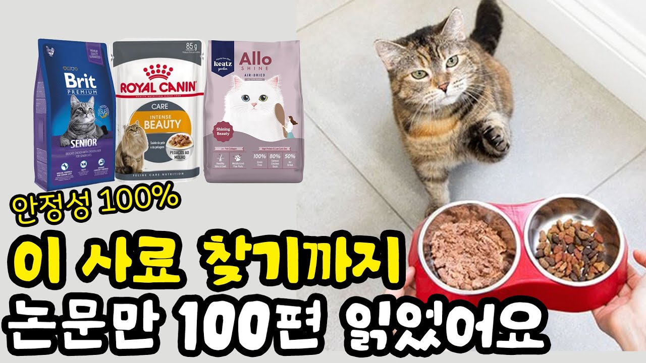 고양이 사료 성분과 원료 비교! 제약회사 10년차 집사가 논문 100편 읽고 찾아낸 안전성 100% 사료를 공개합니다