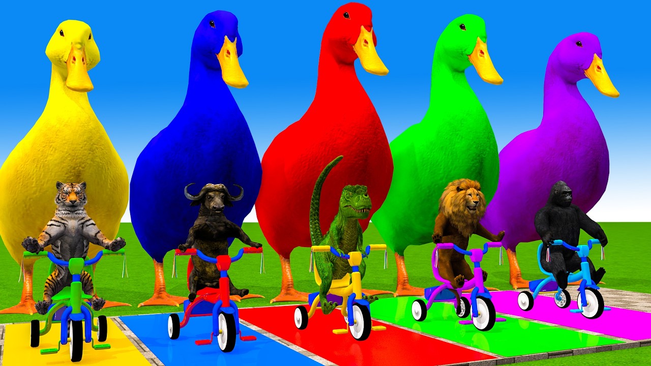 5 Giant Duck Cartoon,Cow,Elephant,Tiger,Lion,Dinosaur,Paint Wild Animals Crossing Fountain Animation