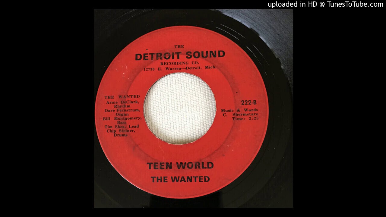 Wanted - teen world (60's)