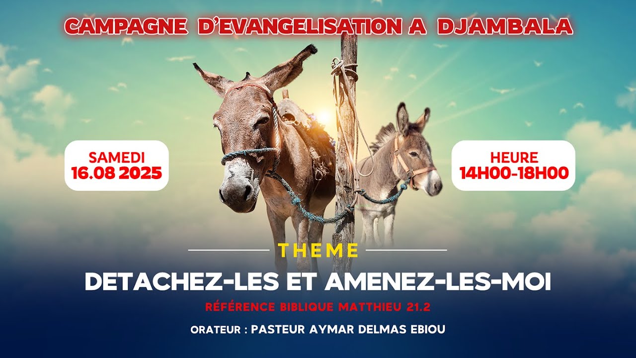 Détachez-les et amenez-les-moi.
