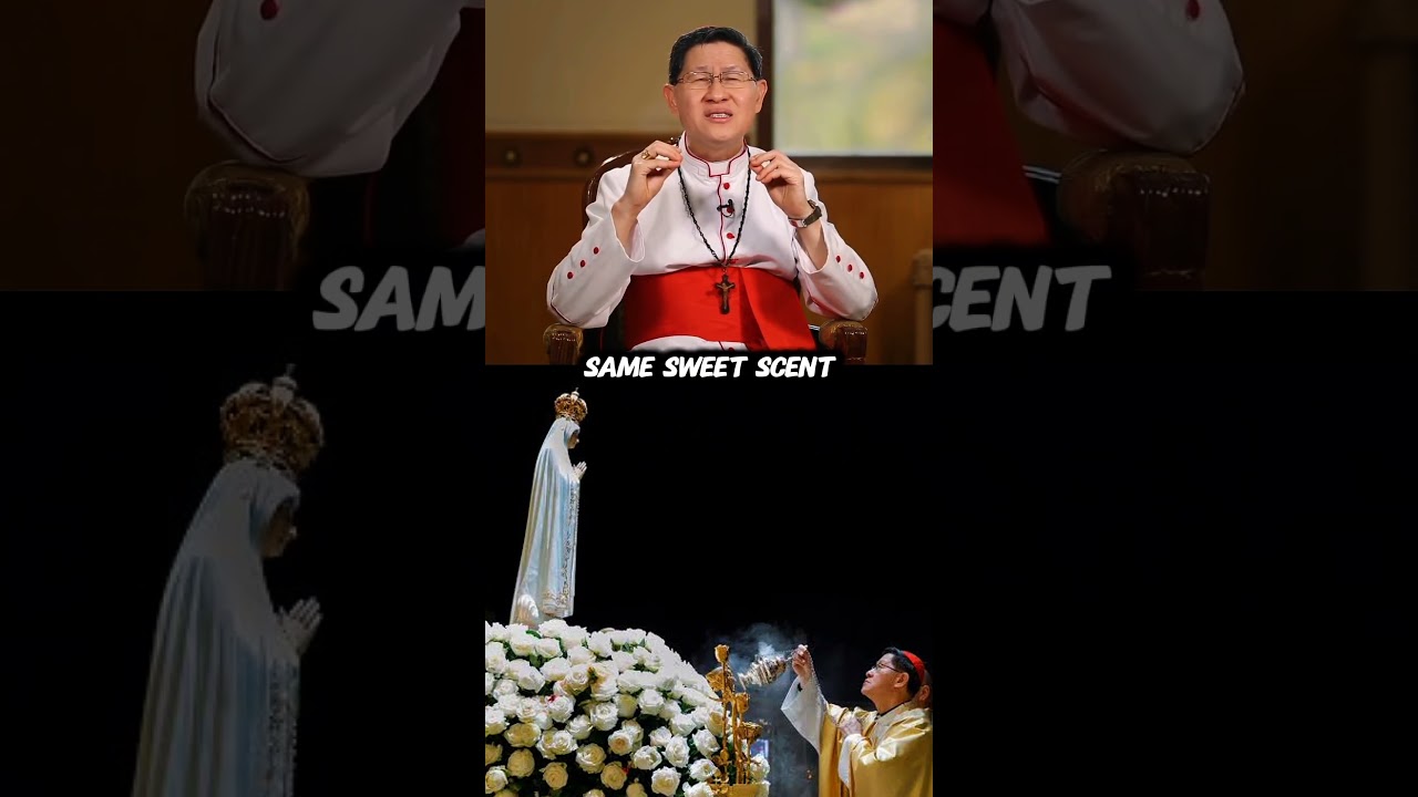 Cardinal Tagle's encounter with Mother Mary