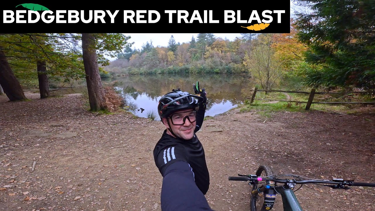 BEDGEBURY FOREST TRAIL FUN!