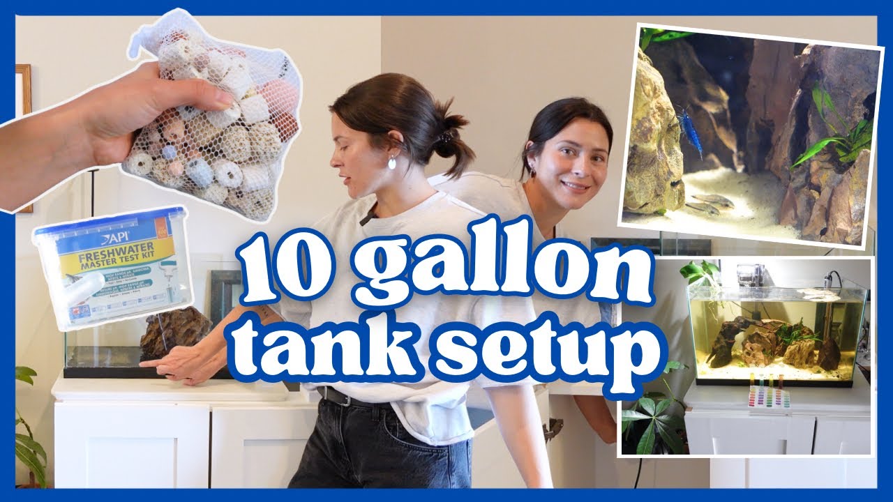 Setting up my 10 gallon fish tank (: