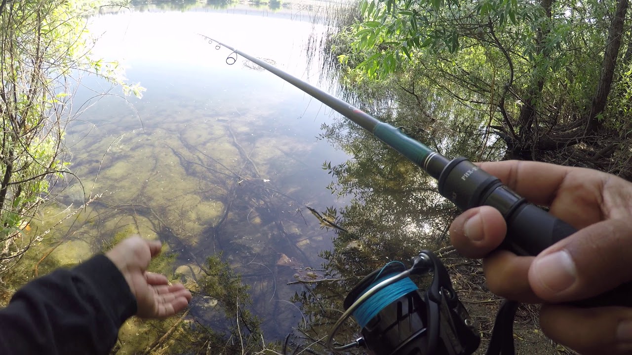 Thin senko wacky rig part 1