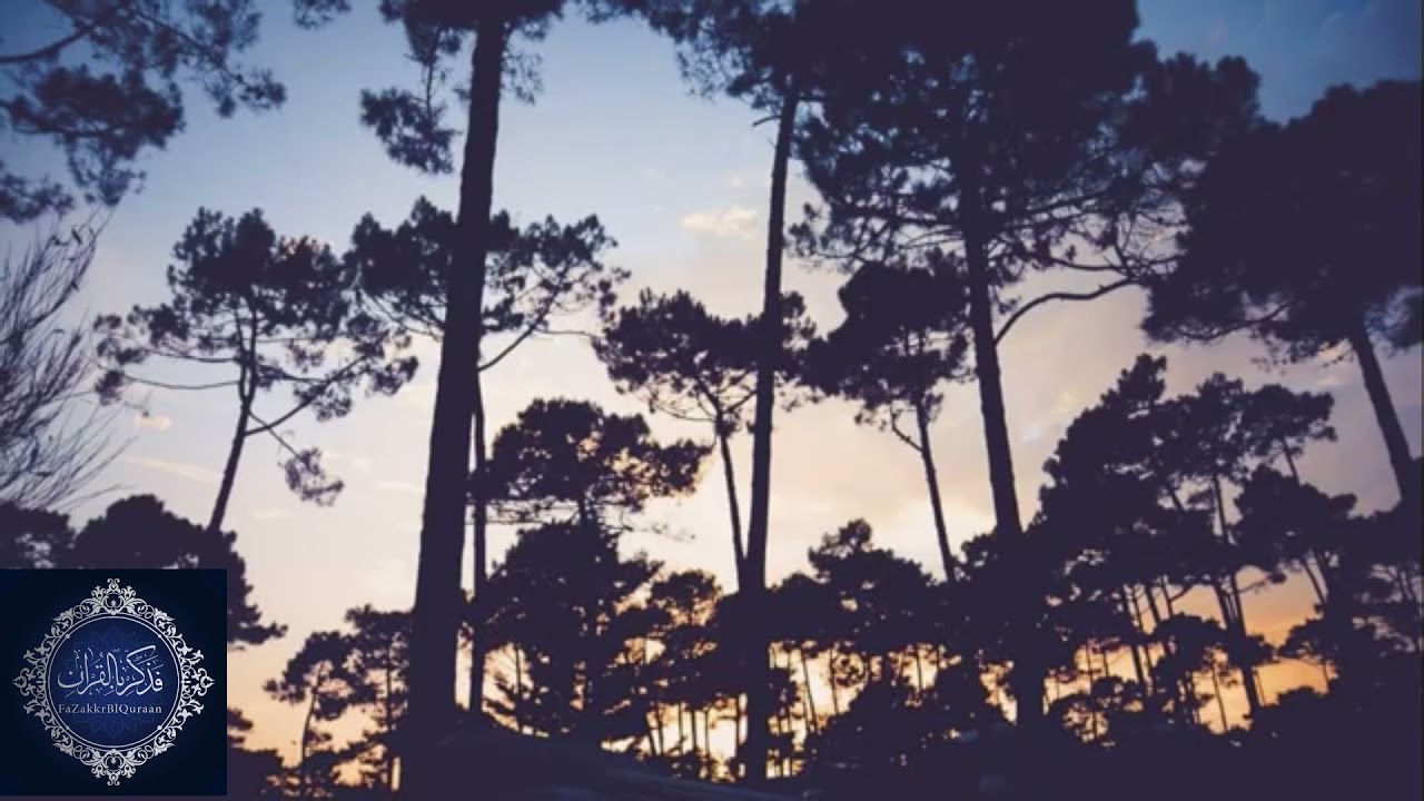 أجمل تلاوة عذبة لا توصف عطر مسامعك