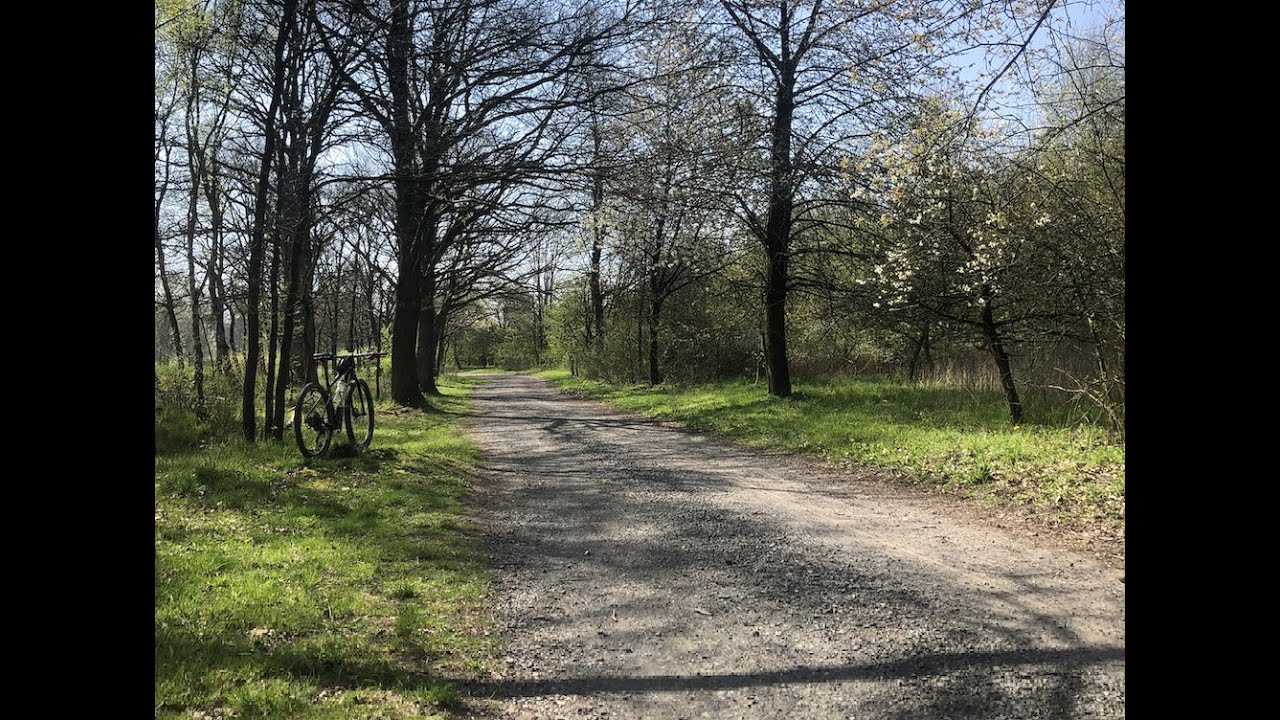 Buchholz in der Nordheide - Rosengarten Wald (Forest) Tour
