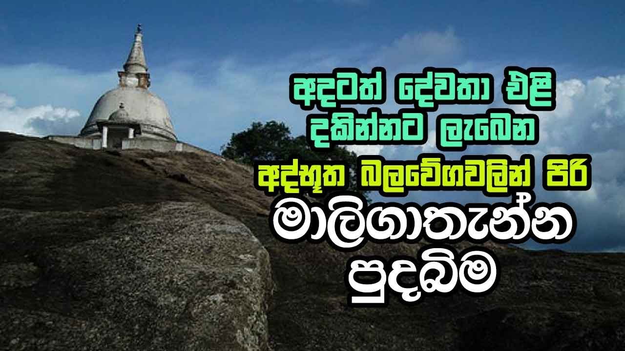 අදටත් දේවතා එළි දකින්නට ලැබෙන අද්භූත බලවේගවලින් පිරි මාලිගාතැන්න පුදබිම