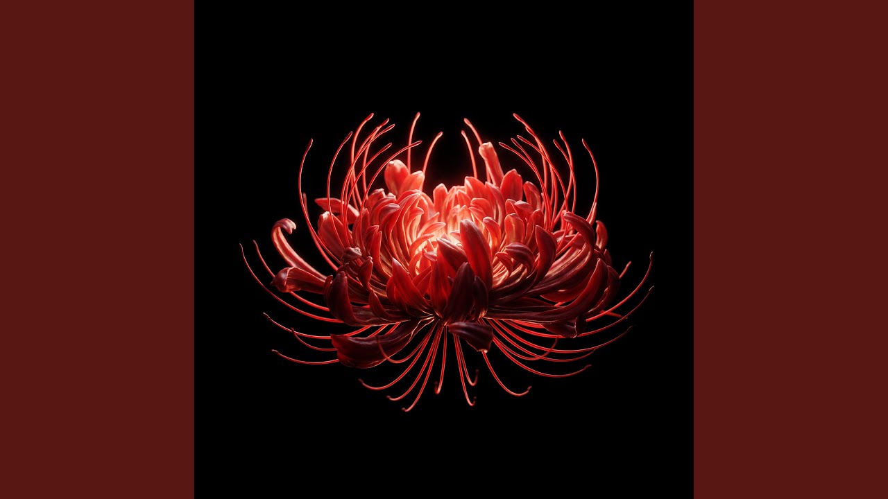 С кем ты играешь?