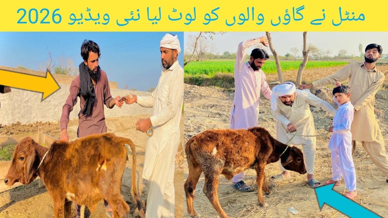 Aj To Mental Ki Lotri Lag Gai New Funny Video 2026#shafqat07 