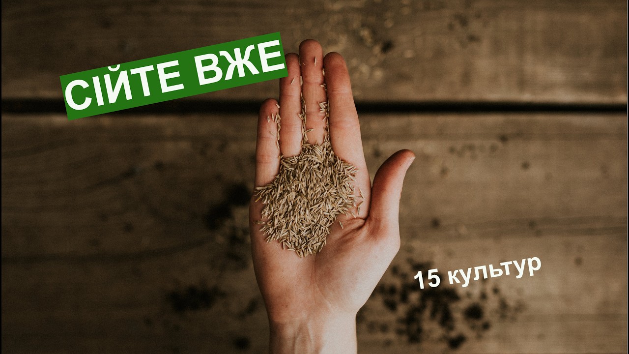 Що сіяти у березні: 15 холодостійких культур для раннього врожаю