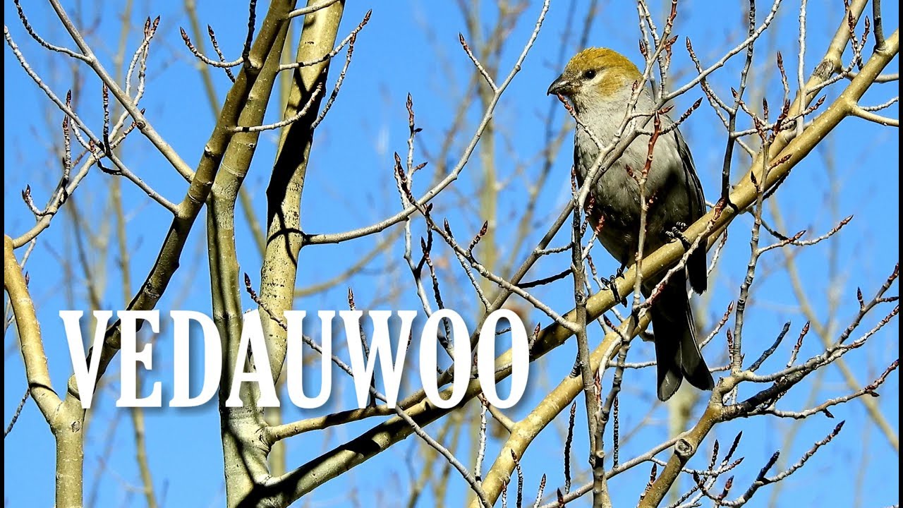 Vedauwoo: Turtle Rock Loop