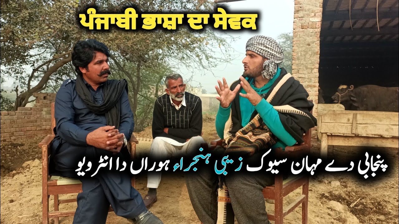 Zaibi Hanjra Podcast || Sajjad Jatt 