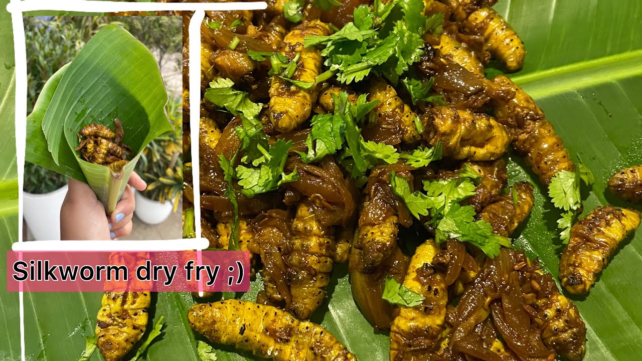 Silkworm Dry - Fry // How to clean and cook // Polu Recipe