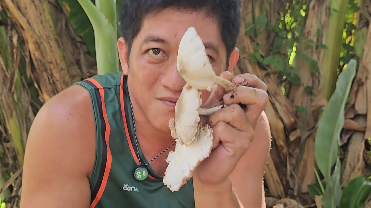 MAY SUMULPOT NA ULAM | PAGKAING BUKID | OUTDOOR COOKING |Team AgustinTV 