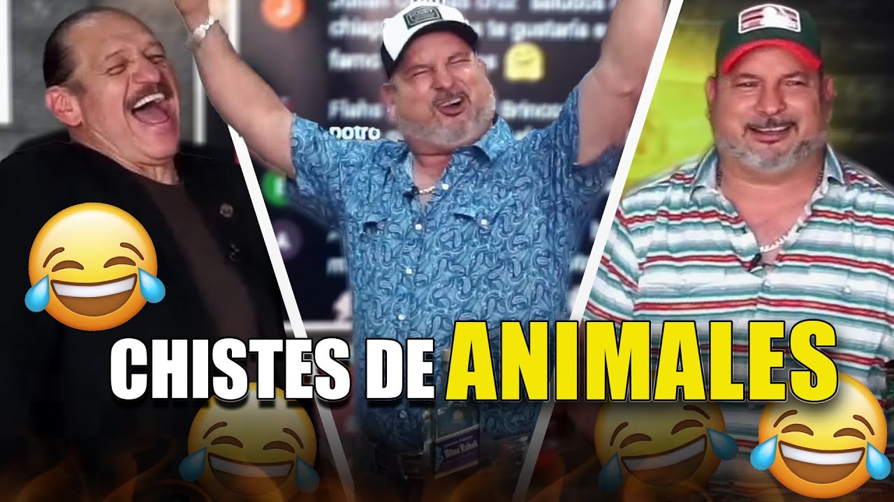 The BEST ANIMAL jokes 🐎😂 | Hern&aacute;n El Potro