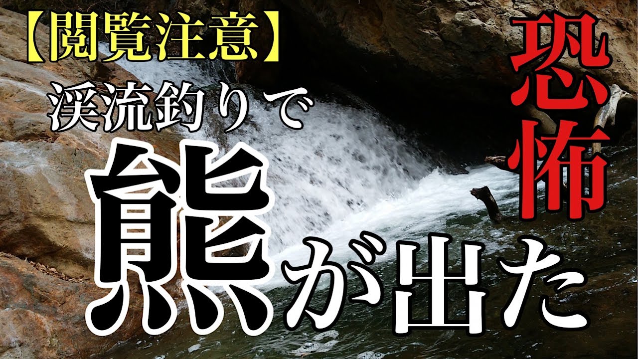 【閲覧注意】追いかけてくるな！！源流へイワナ釣りに行ったら熊が出た　Attacked by a bear