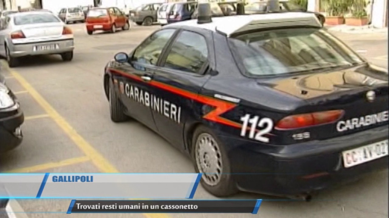 TG GALLIPOLI TROVATI RESTI UMANI IN UN CASSONETTO  TELEREGIONE 31 01 2017