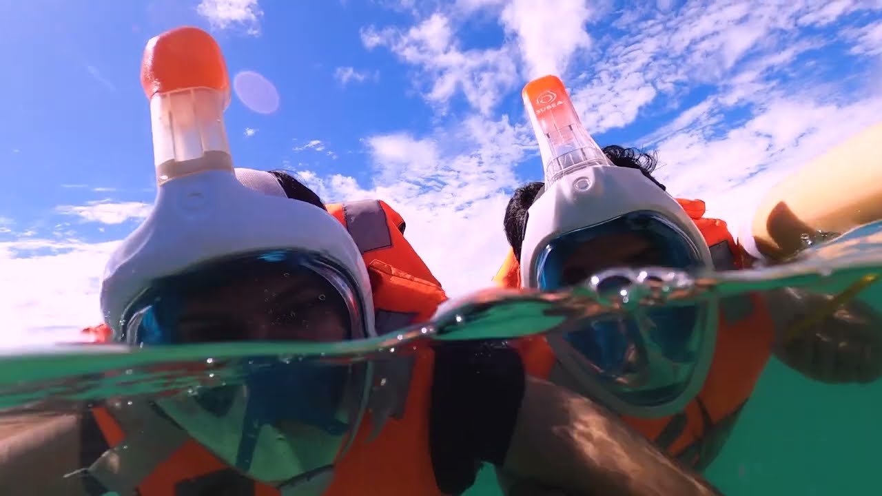 [4K] My gopro at Havelock Elephant beach Snorkeling | Andamans 2023