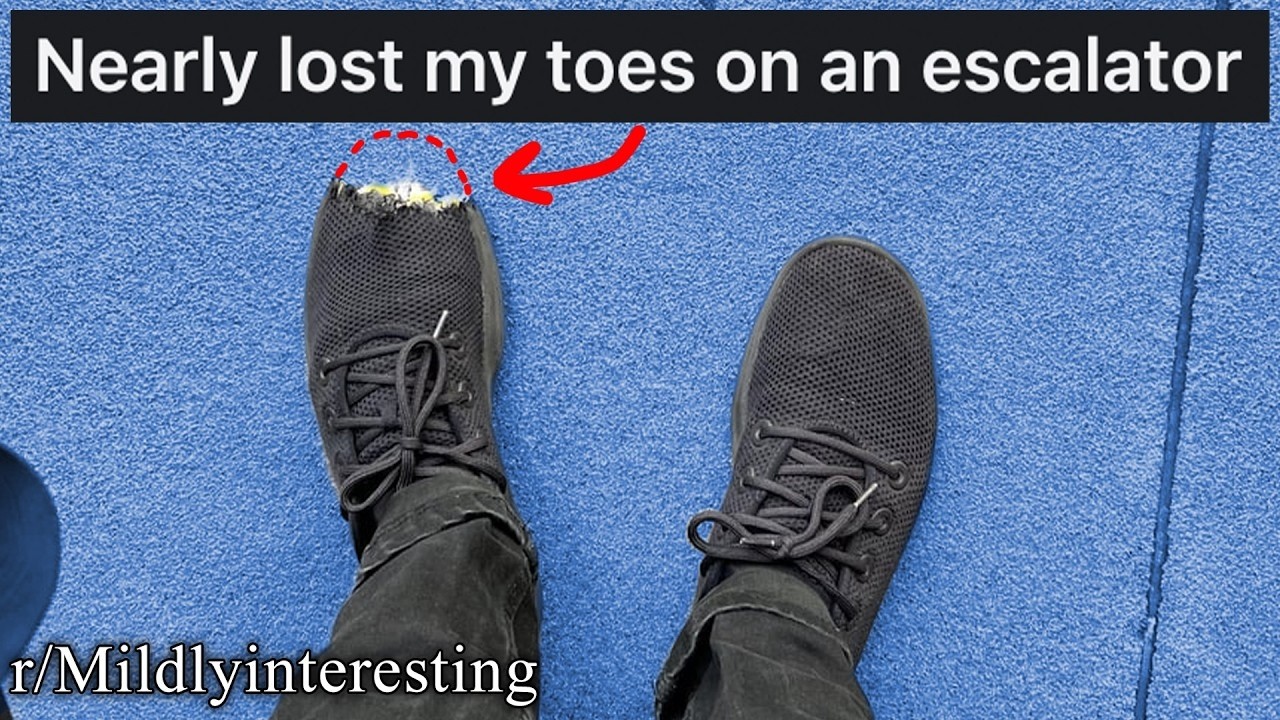 THE TOP OF INTERESTING REDDIT