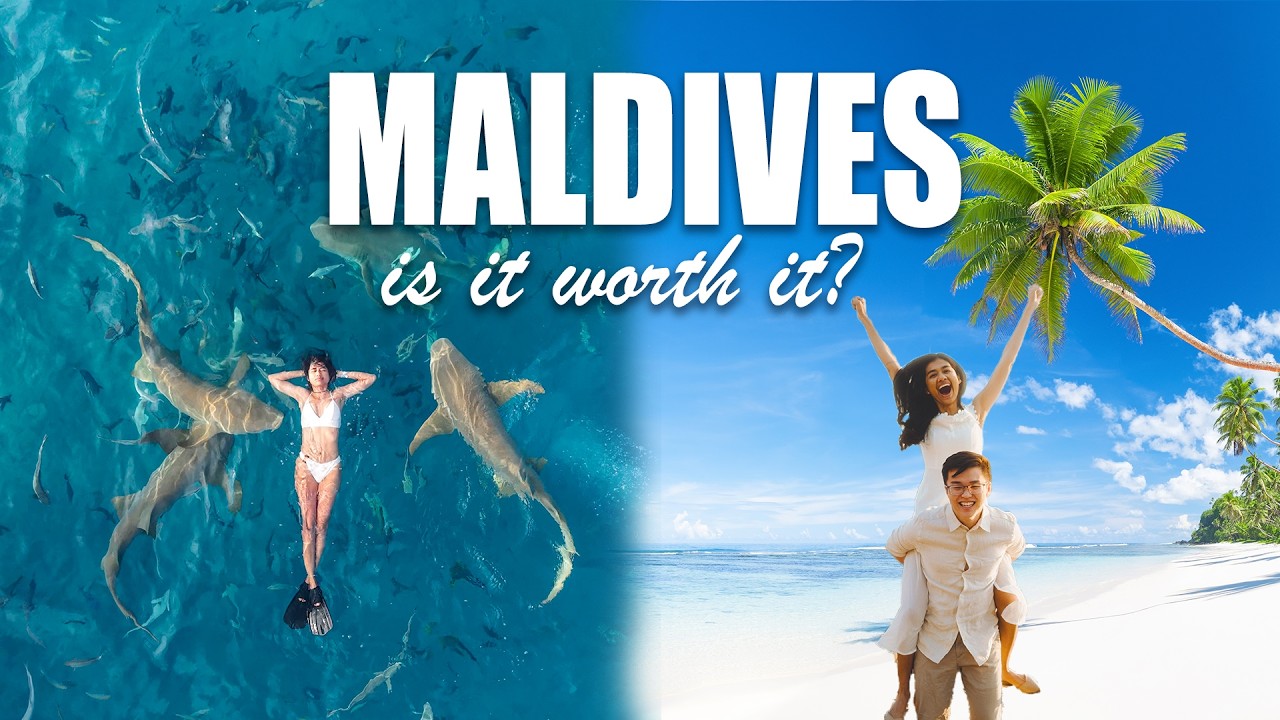 Best Things to Do in Maldives ($60 shark & dolphin excursion)