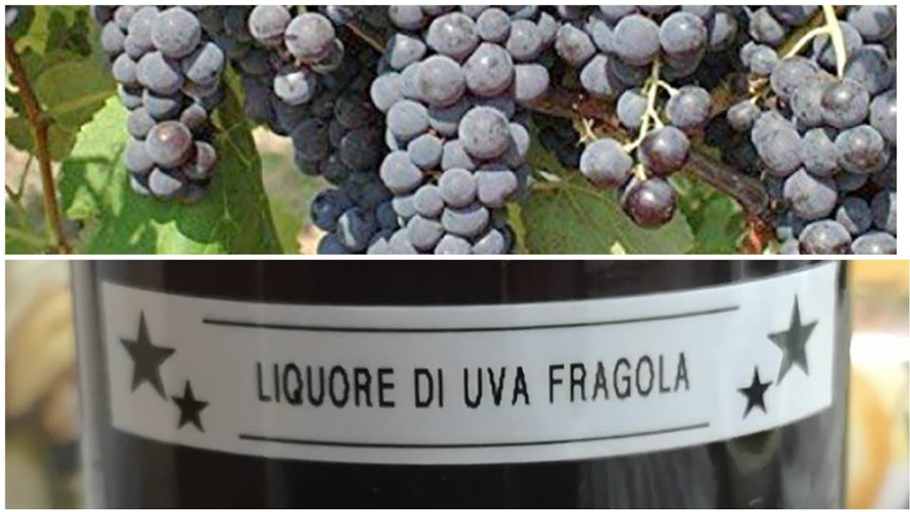 Liquore di Uva Fragola. Ricetta semplice.