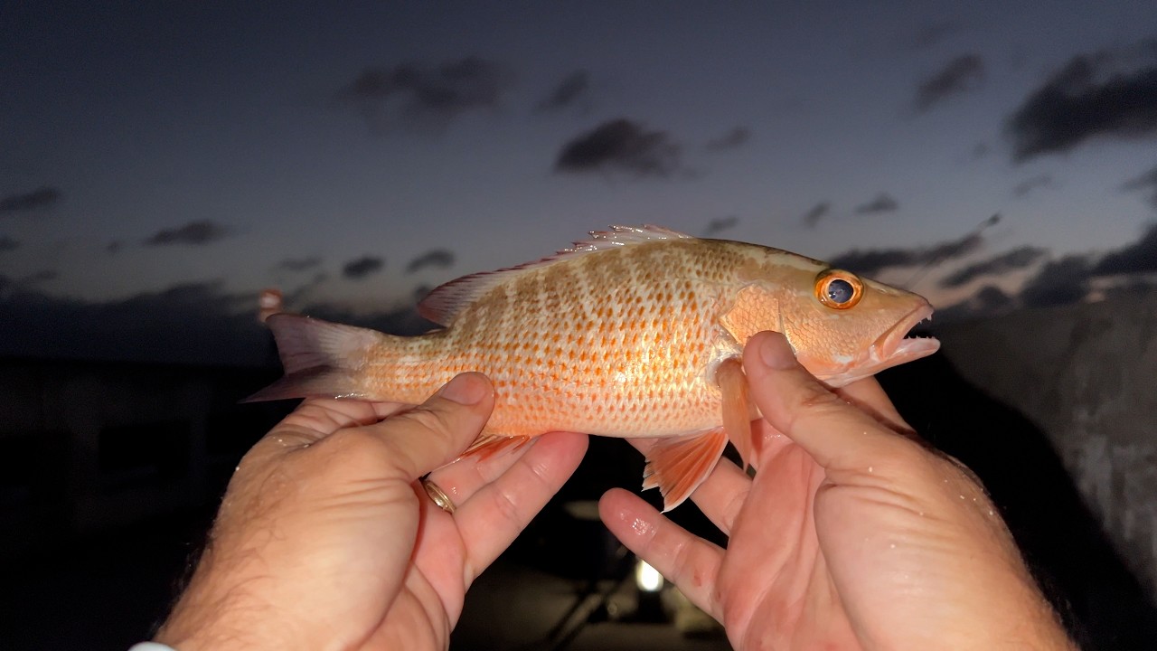 First Fishing Trip of the year + a weird creature from the depth of the sea