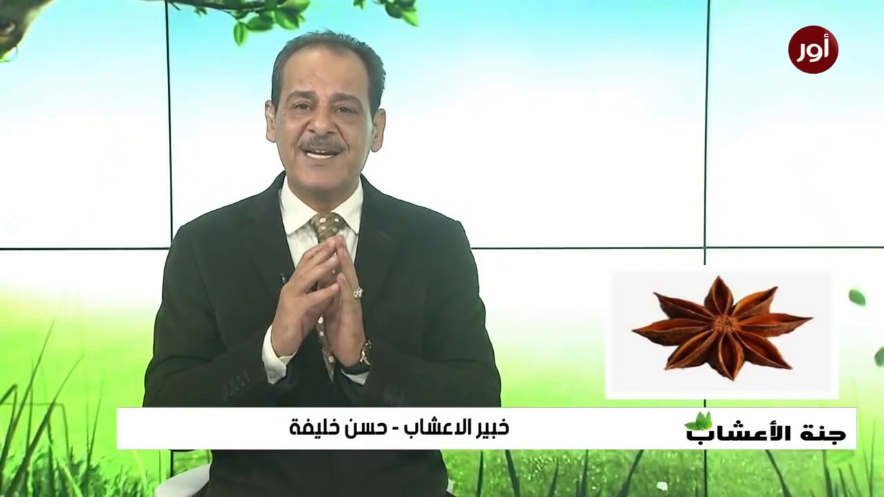 فوائد عشبة اليانسون النجمي مع خبير الاعشاب حسن خليفة - جنة الاعشاب
