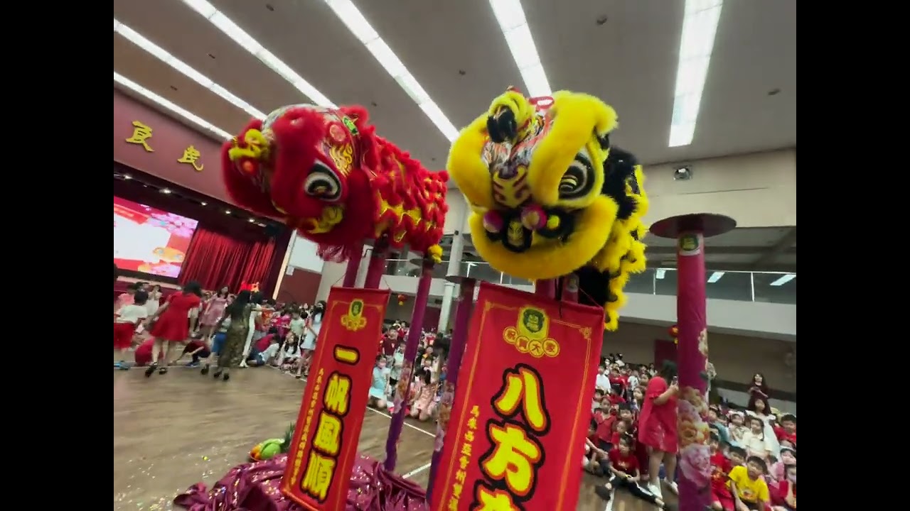 Yuk Chai Lion Dance 2025 ulalar Chinese New Year 育才新年舞狮表演 || Acrobatic Lion Dance ||