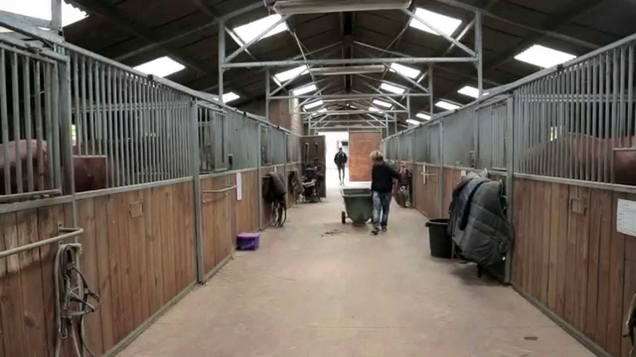 CHARTRES EQUITATION PRESENTATION