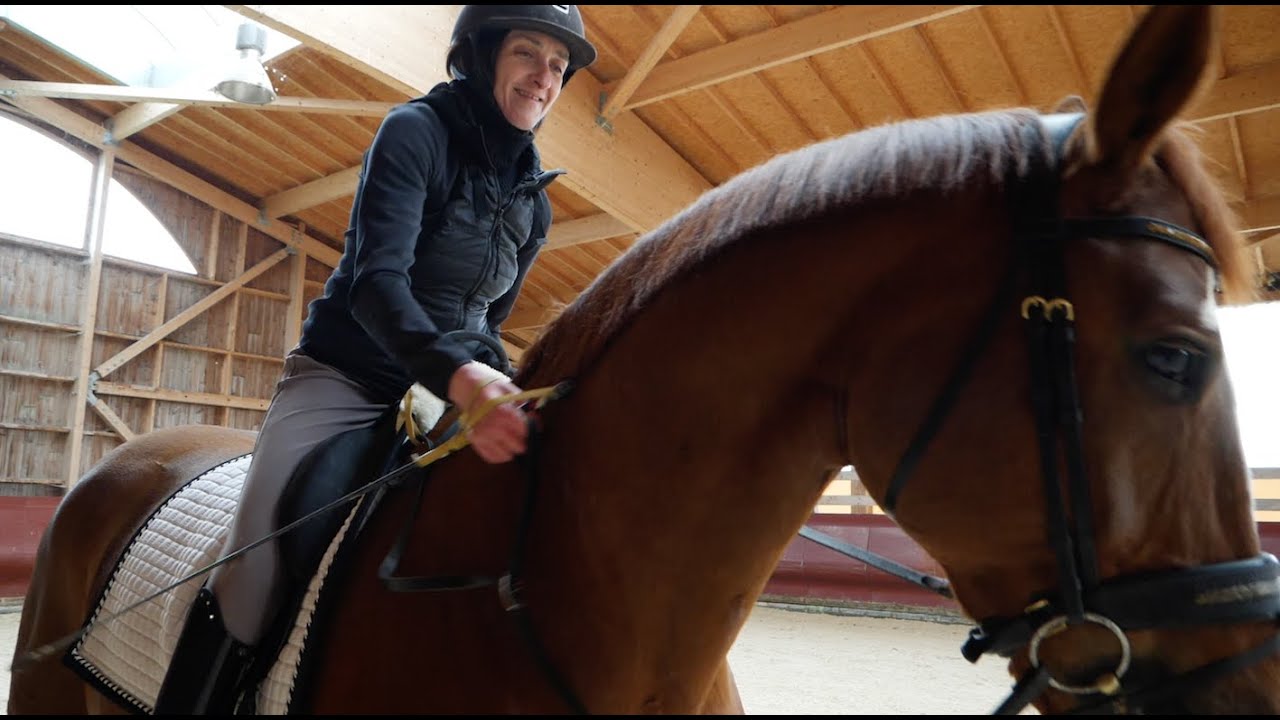 Portrait d' Anne-Frédérique Royon, l'équitation corps et âme - Champions d'Exception - Handisport TV