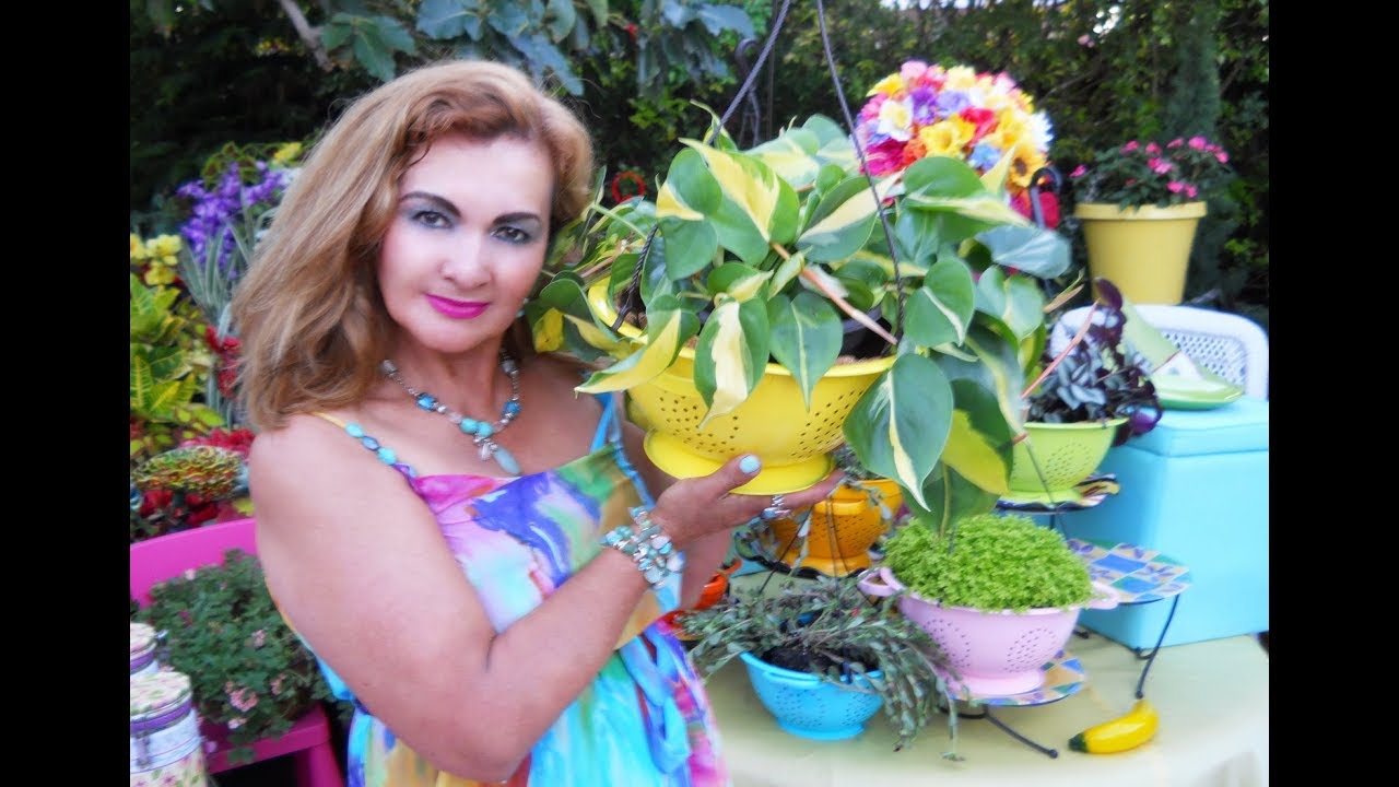 Sembrando Plantas en coladores| Tutorial de Jardino terapia | Marzo 2018