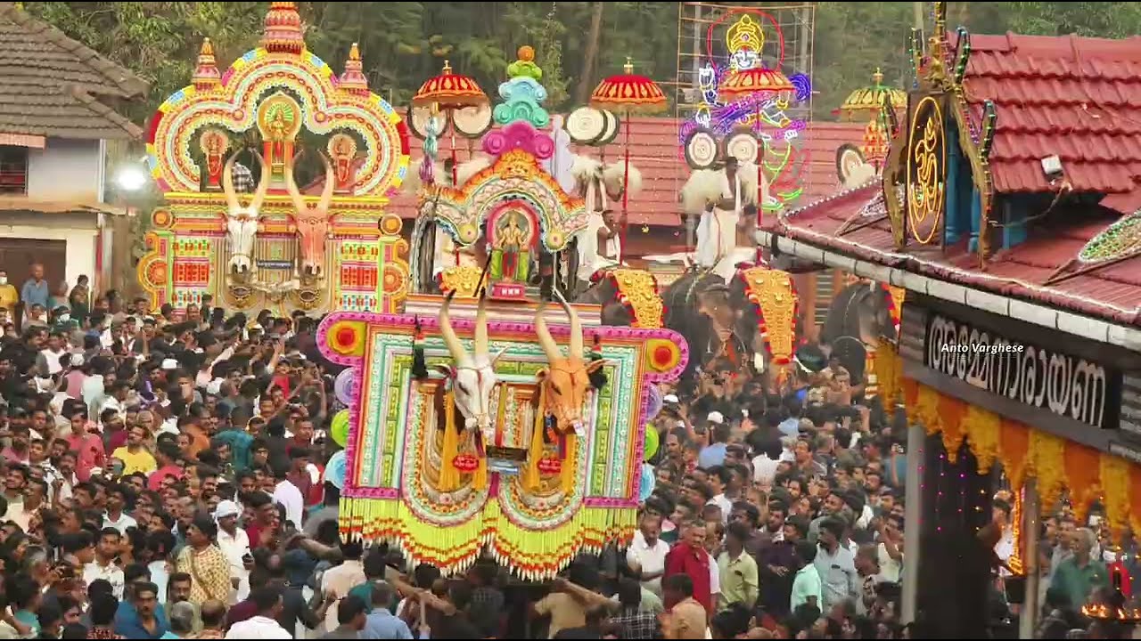 Pariyanampatta Kala Kali 2025❤️ പരിയാനംപറ്റ കാള കളി 🔥#pariyanampatta #kalakali #pooram #kala #aana