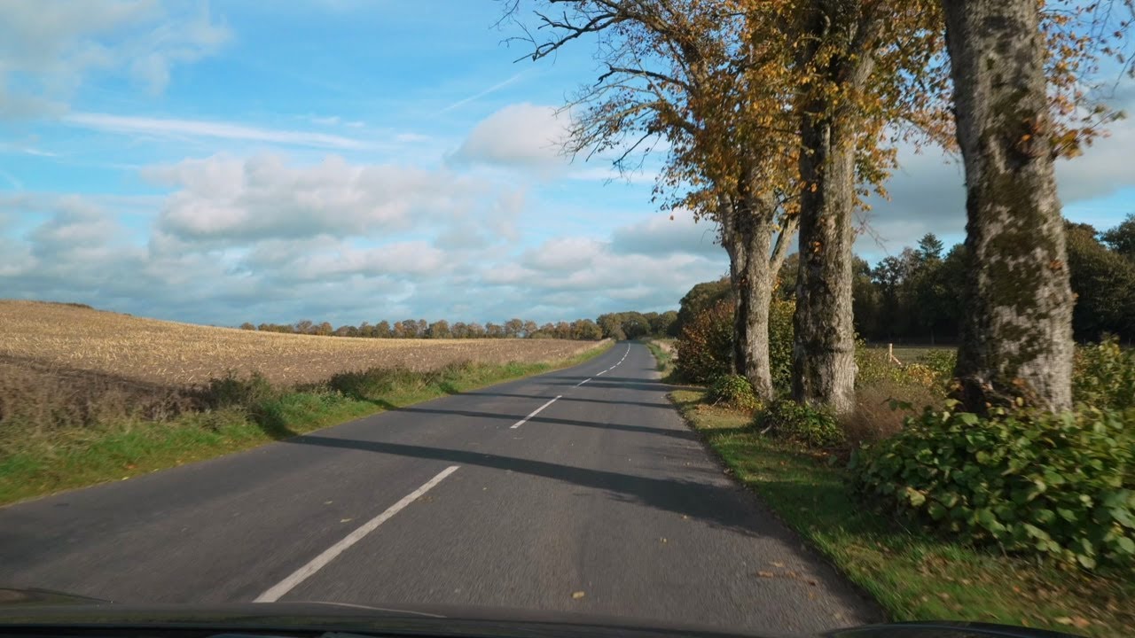 Drive in Denmark from Vammen to Ørum. Margueritrute